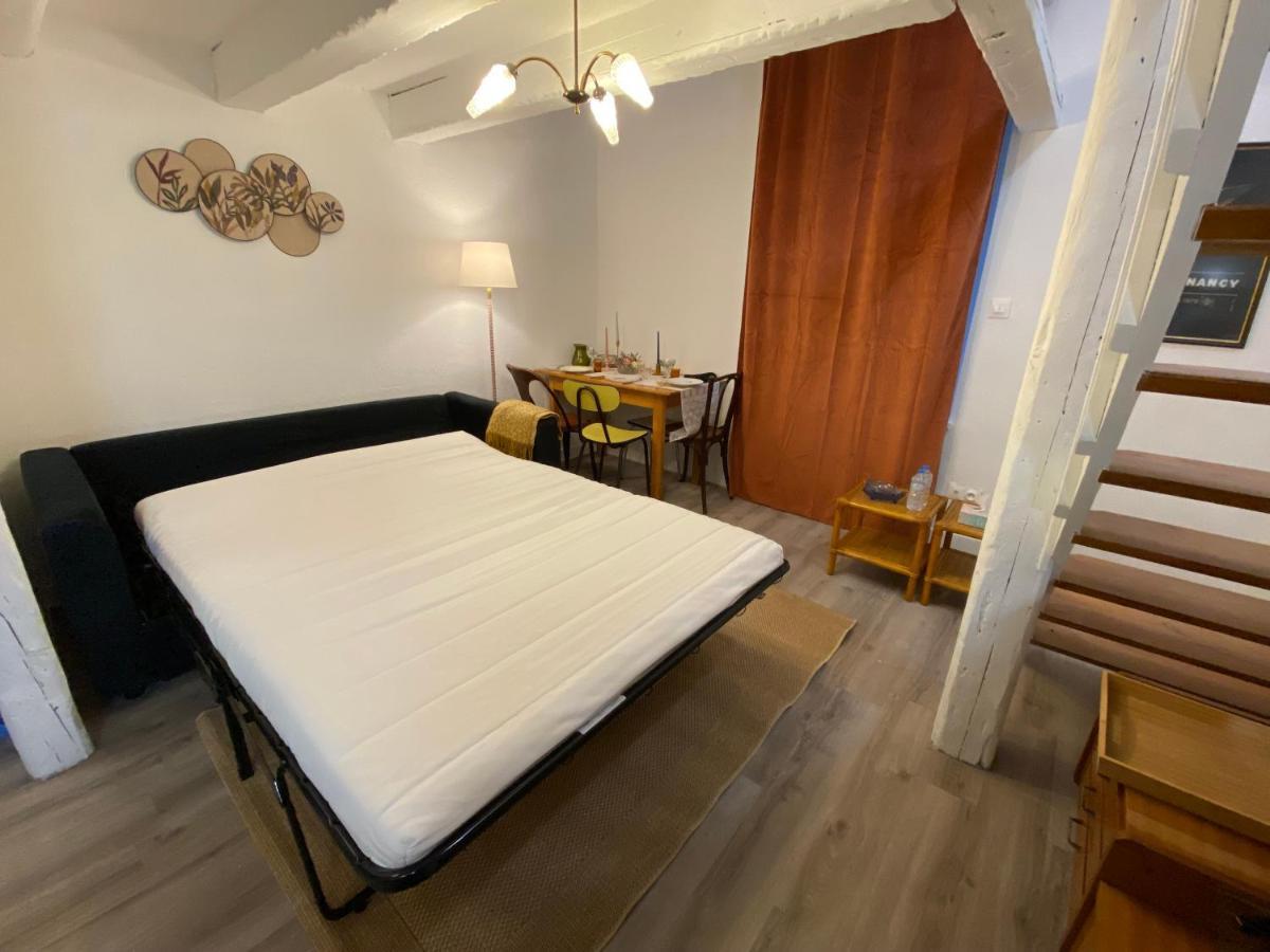Les Cosy De Nancy - Le Duplex Vintage 4* Apartment Exterior photo